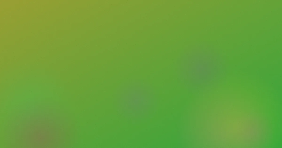 半碗村传奇避坑：别被期待带偏